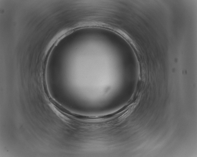 X0000073861438200608170931