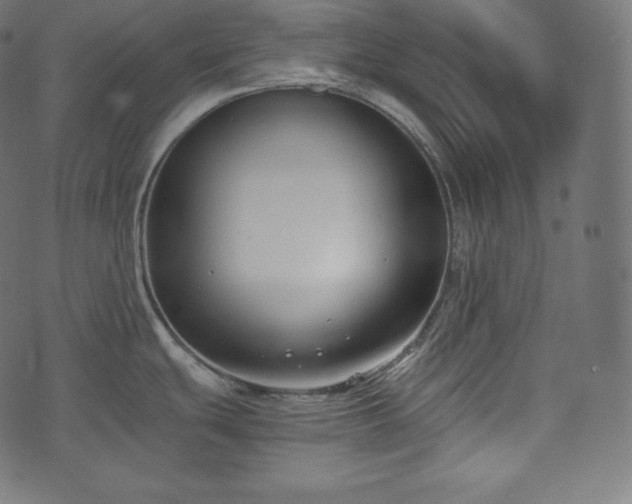 X0000073861439200608170931