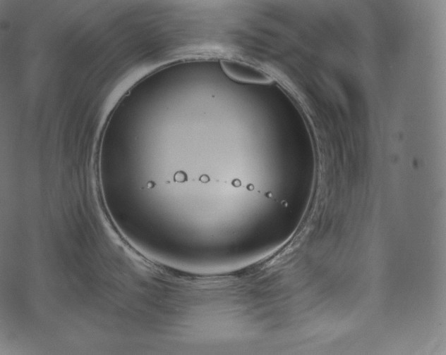 X0000073861440200608170931