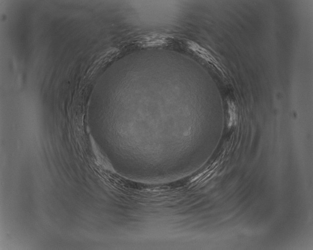 X0000073861441200608170930