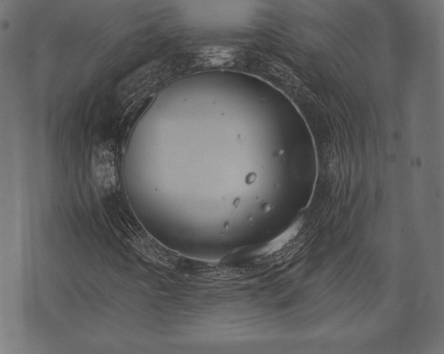 X0000073861442200608170930