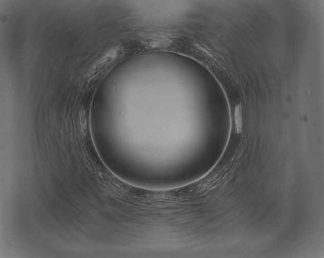 X0000073861443200608170930