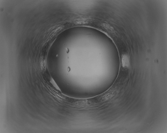 X0000073861444200608170930