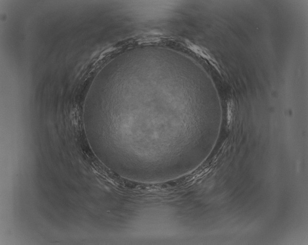 X0000073861445200608170930