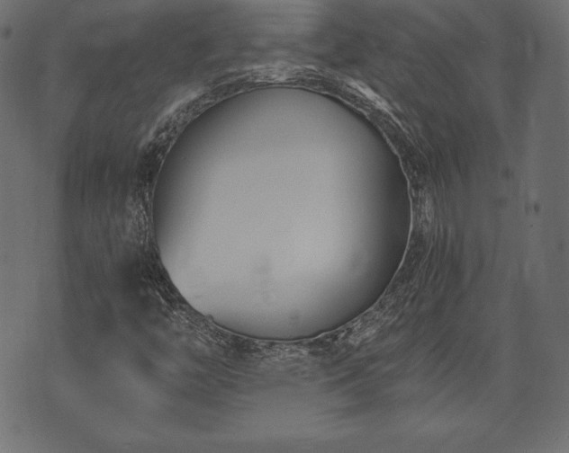 X0000073861446200608170930