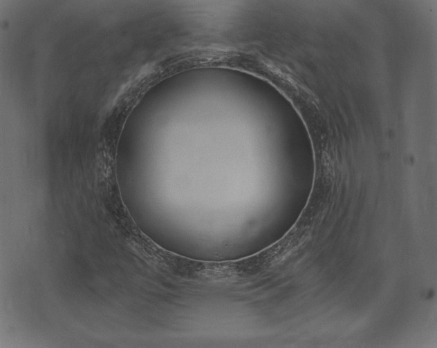 X0000073861447200608170930