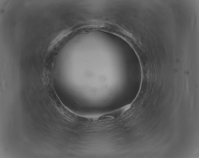 X0000073861448200608170930