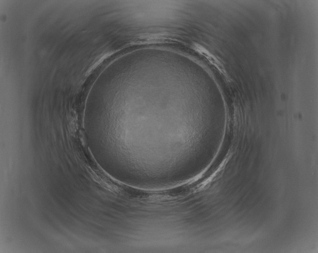 X0000073861449200608170930