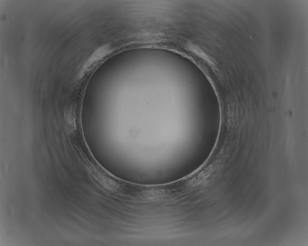 X0000073861451200608170930