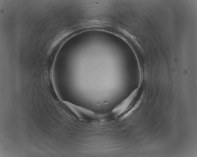 X0000073861453200608170930