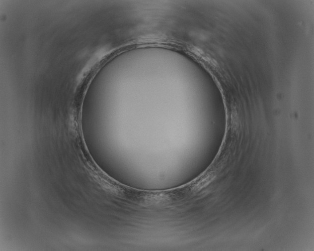 X0000073861454200608170930