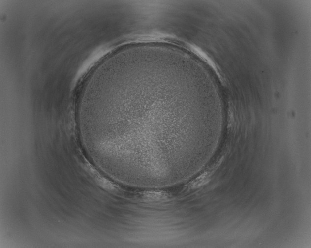 X0000073861456200608170930