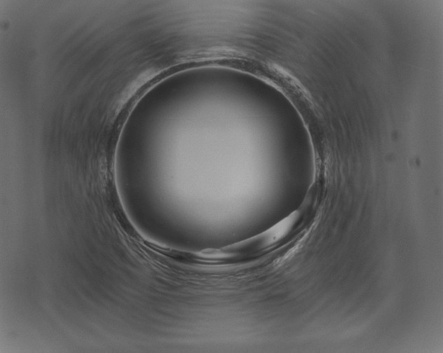 X0000073861457200608170930