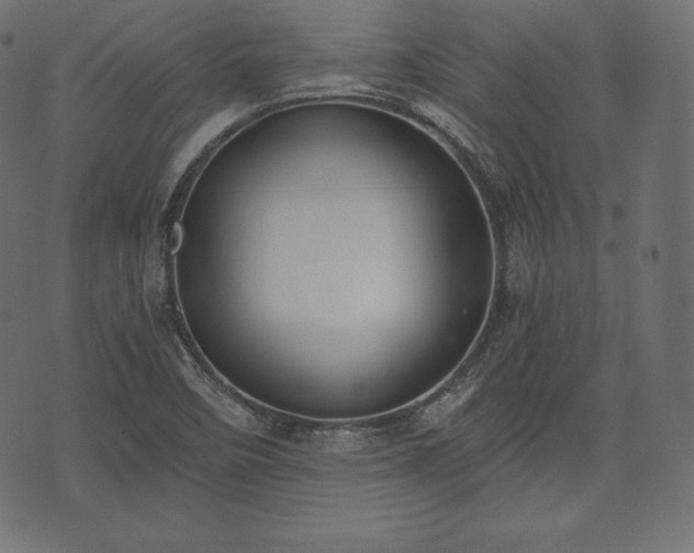 X0000073861458200608170930