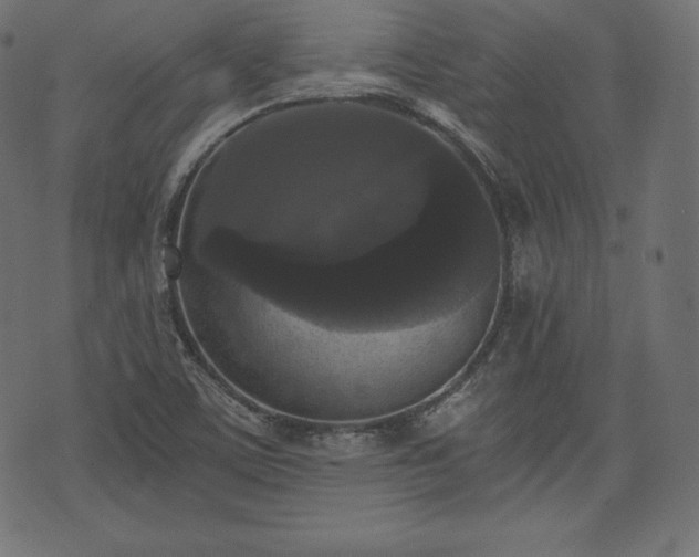 X0000073861459200608170930