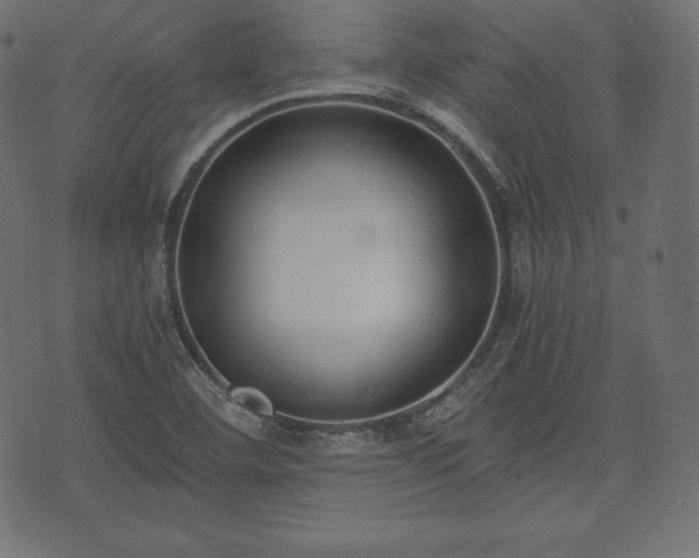 X0000073861460200608170930