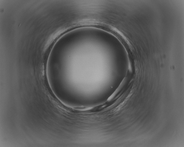 X0000073861461200608170930