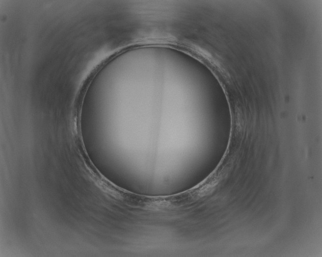 X0000073861462200608170930