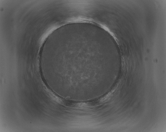 X0000073861463200608170930