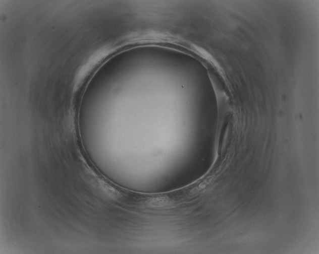 X0000073861464200608170930