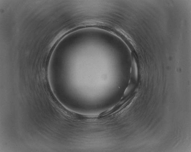 X0000073861465200608170930