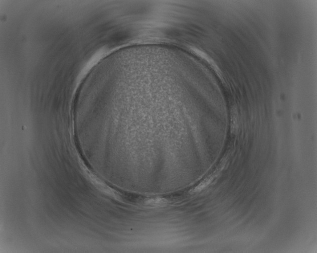 X0000073861467200608170930