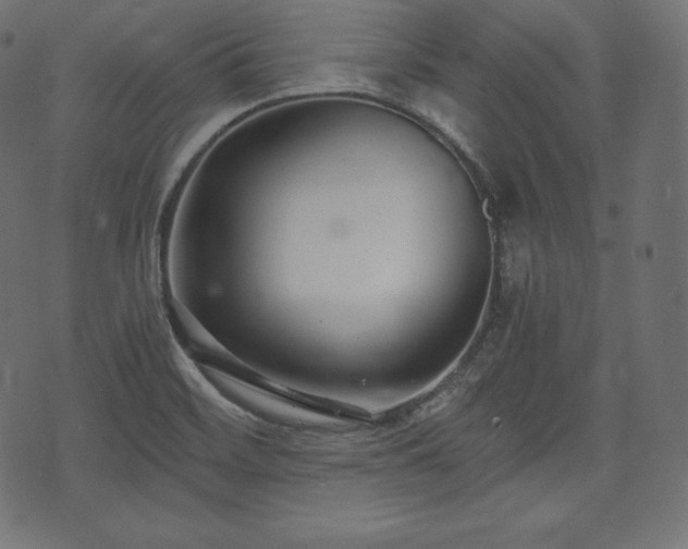 X0000073861468200608170930