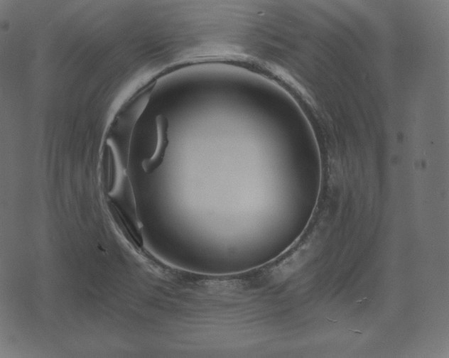 X0000073861469200608170930