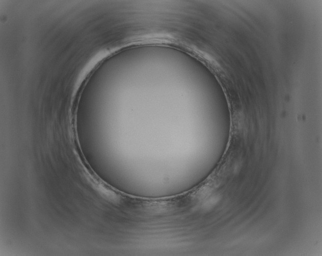 X0000073861470200608170930