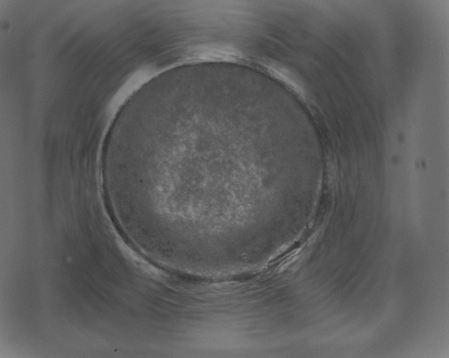 X0000073861471200608170930