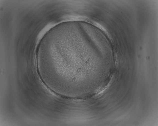 X0000073861472200608170930