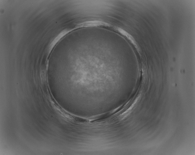 X0000073861473200608170930