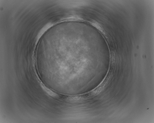 X0000073861474200608170930