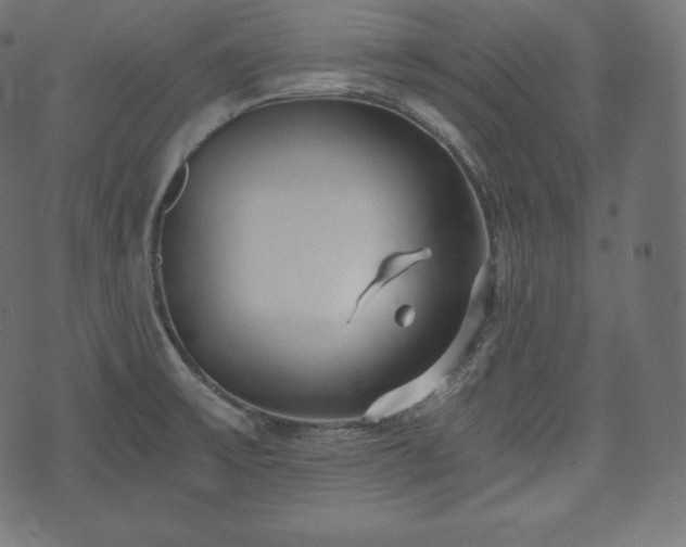 X0000073861475200608170930