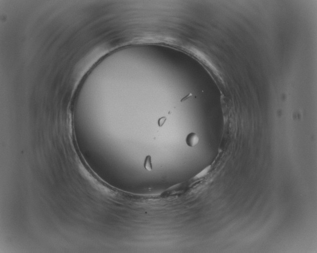 X0000073861476200608170930