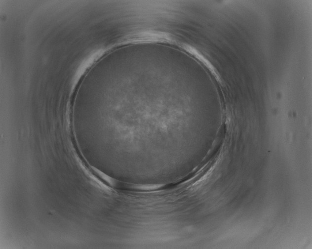 X0000073861477200608170930