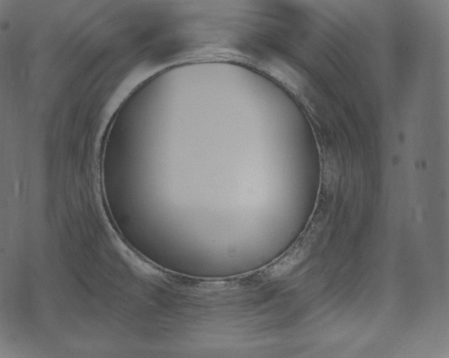 X0000073861478200608170930