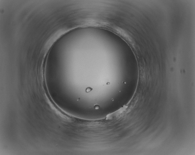 X0000073861479200608170930