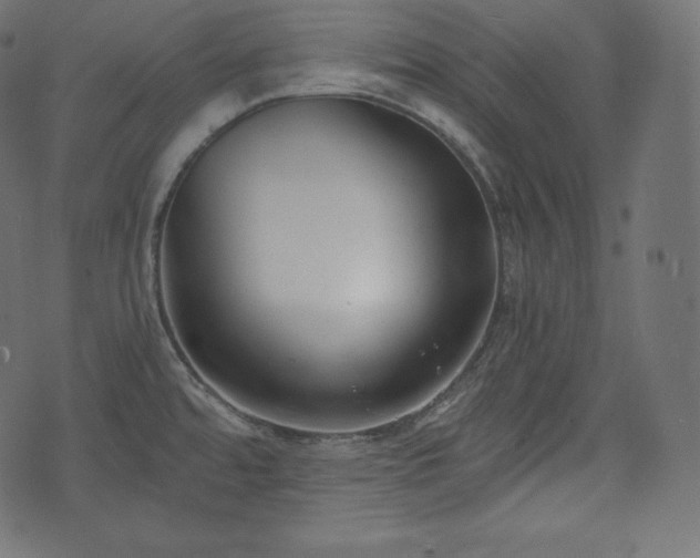 X0000073861480200608170930