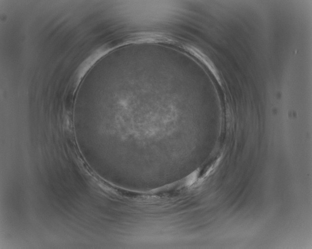 X0000073861481200608170930