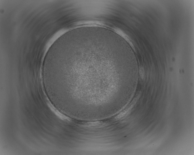 X0000073861482200608170930