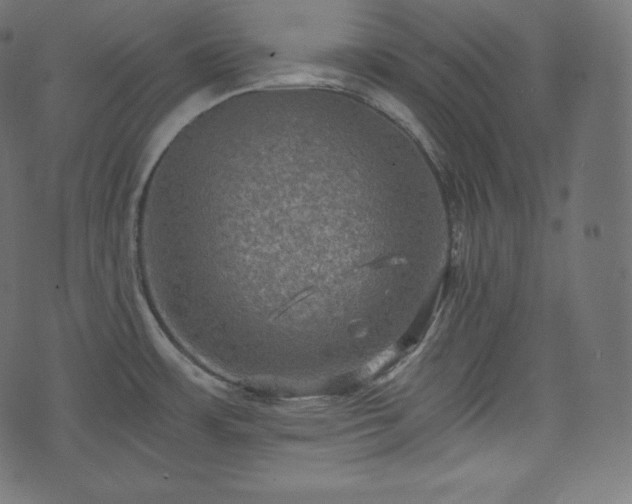 X0000073861483200608170930