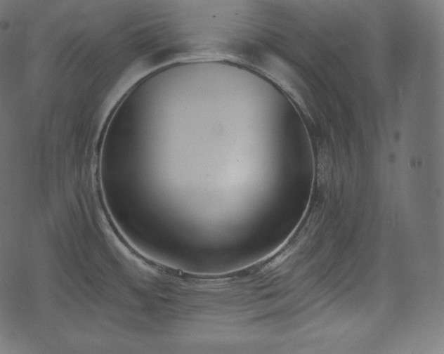 X0000073861484200608170930