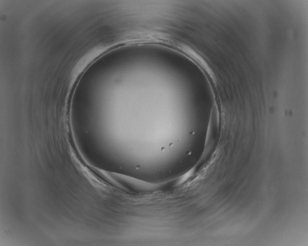 X0000073861485200608170930