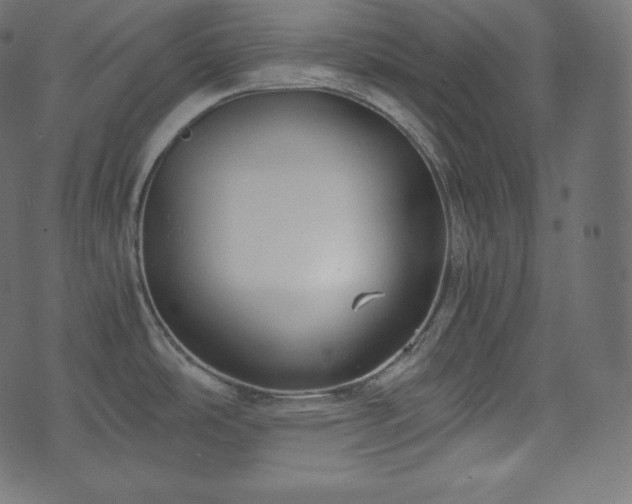 X0000073861486200608170930