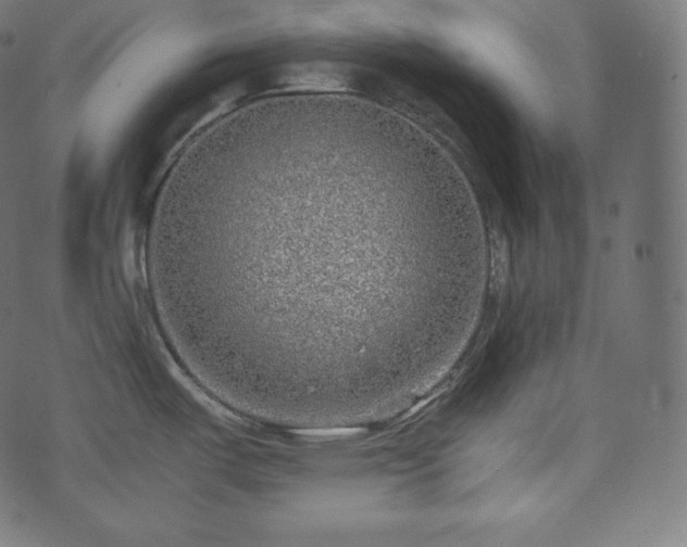 X0000073861487200608170930