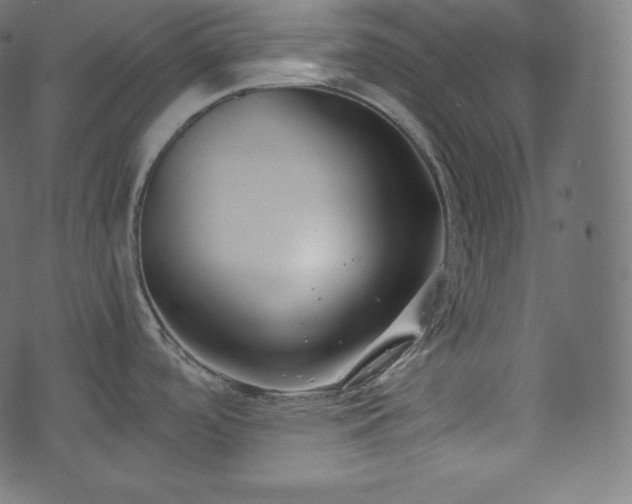 X0000073861488200608170930