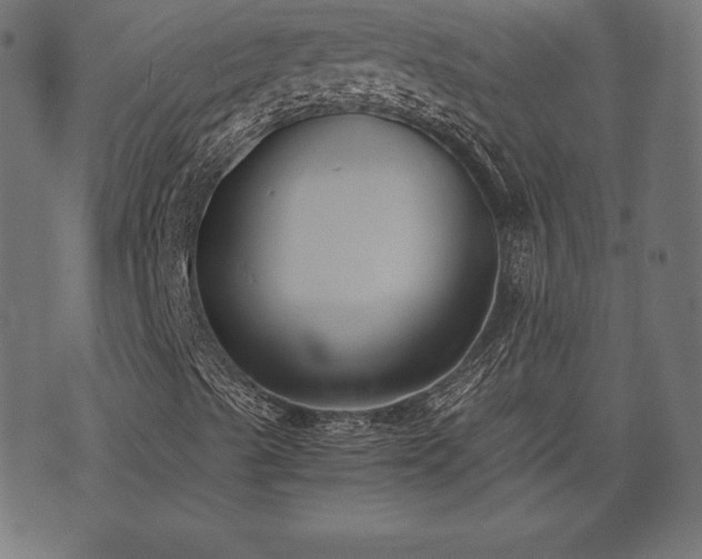 X0000073861489200608170929