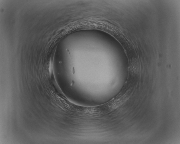 X0000073861490200608170929