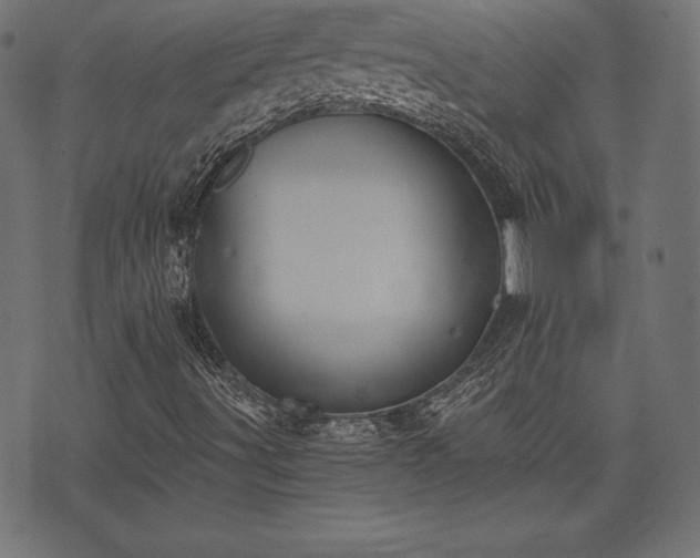 X0000073861491200608170929